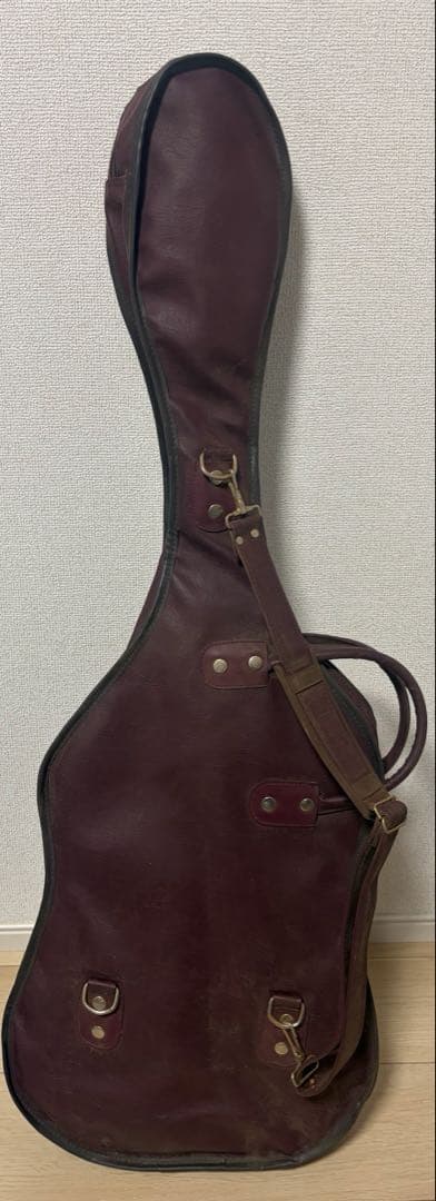 F.J.James エレキギター