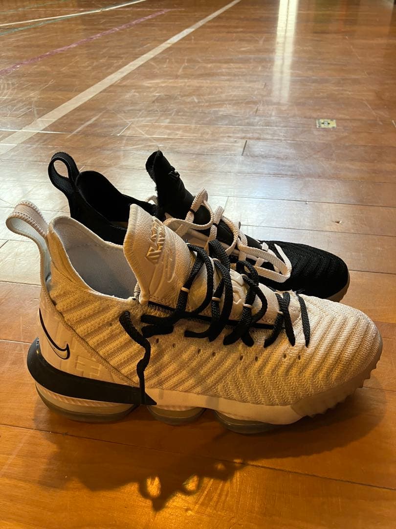 シューズ(男性用) LEBRON XVI