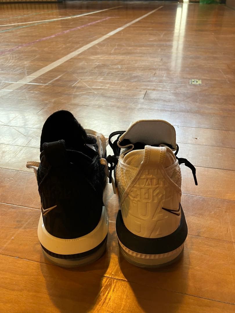 シューズ(男性用) LEBRON XVI