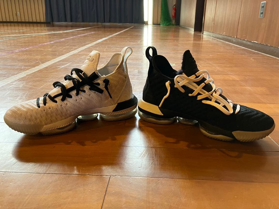 シューズ(男性用) LEBRON XVI