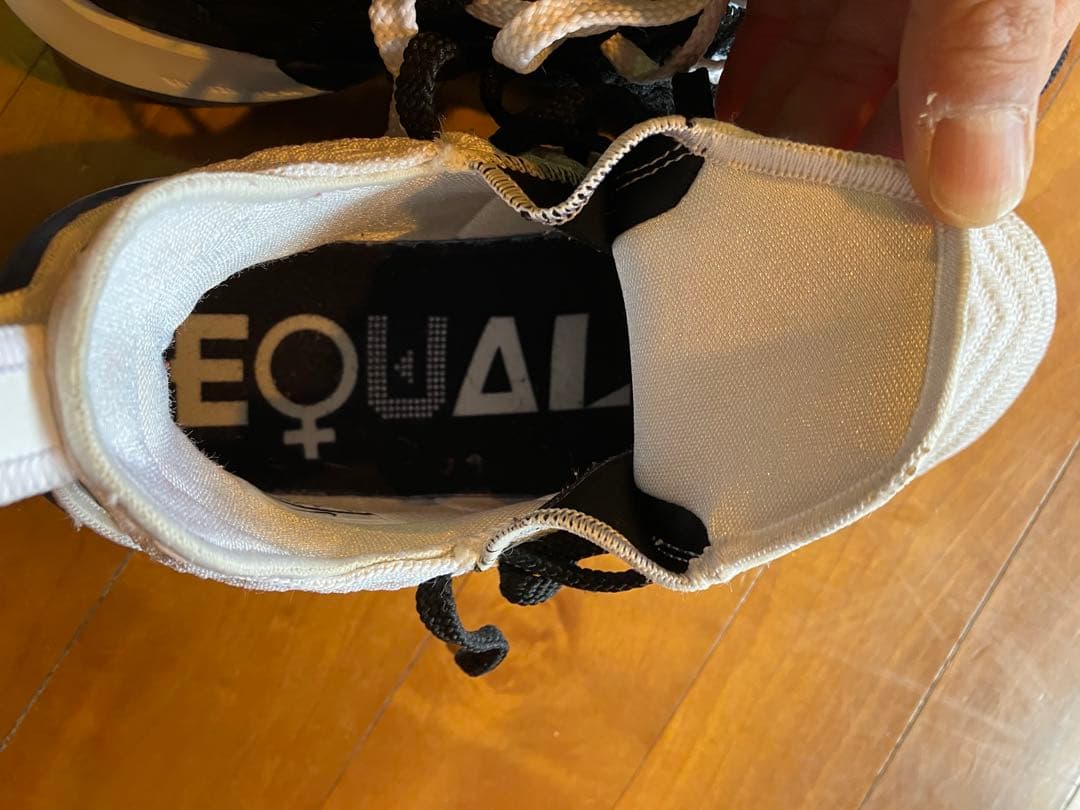 シューズ(男性用) LEBRON XVI
