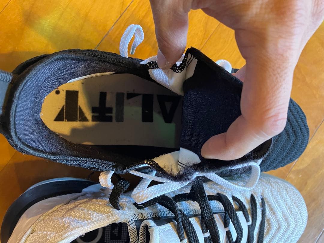 シューズ(男性用) LEBRON XVI