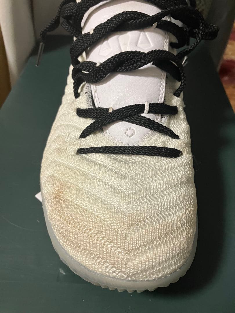 シューズ(男性用) LEBRON XVI