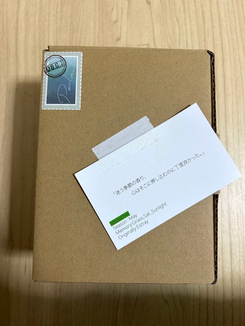 ギター Petla Ive