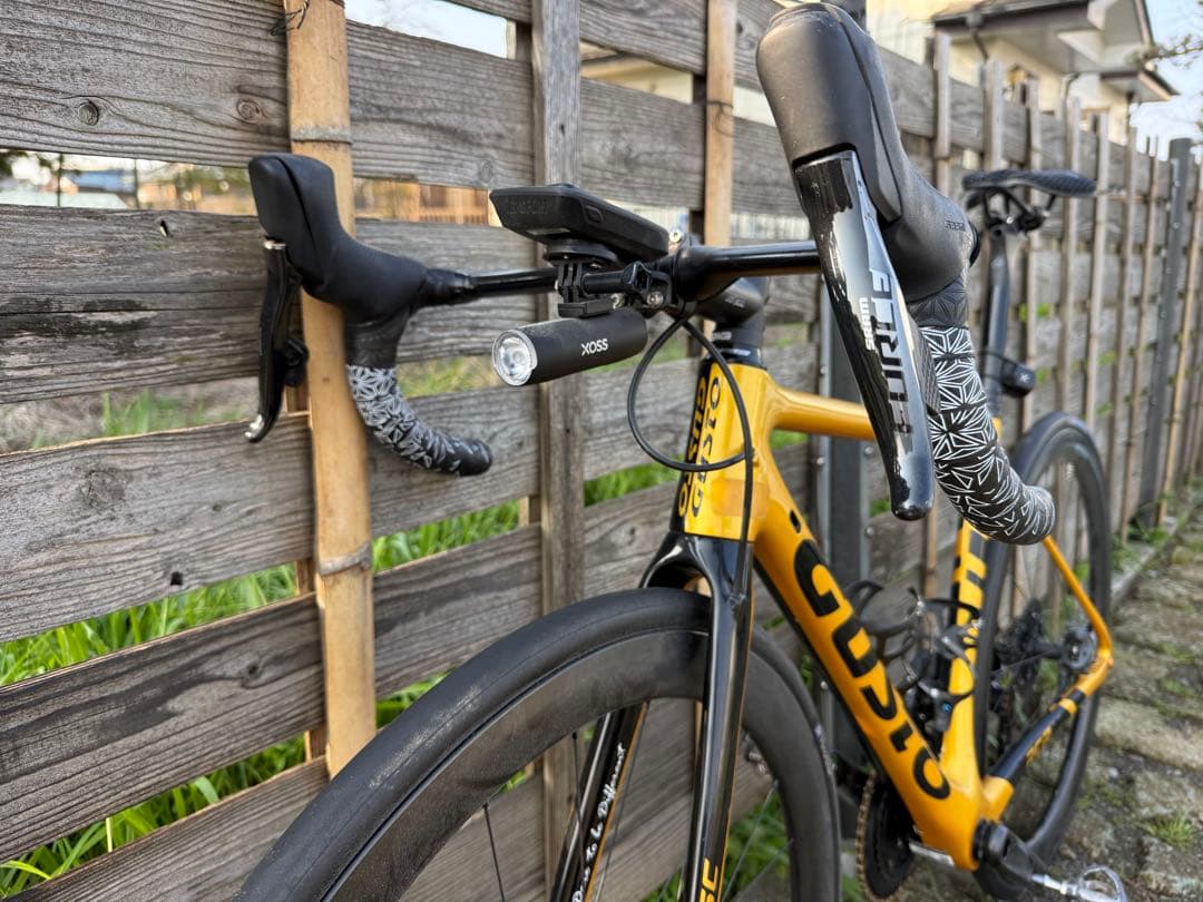 GUSTO RANGER DISK TEAM LIMITED 2020 Ｍサイズ