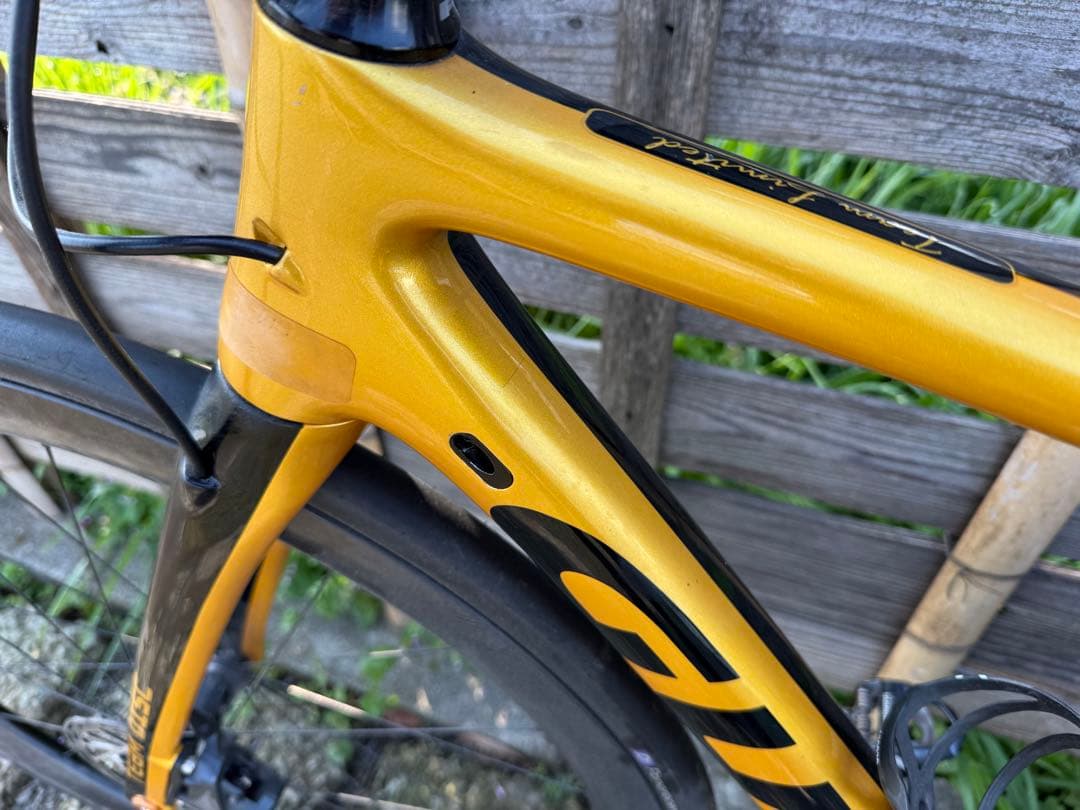 GUSTO RANGER DISK TEAM LIMITED 2020 Ｍサイズ