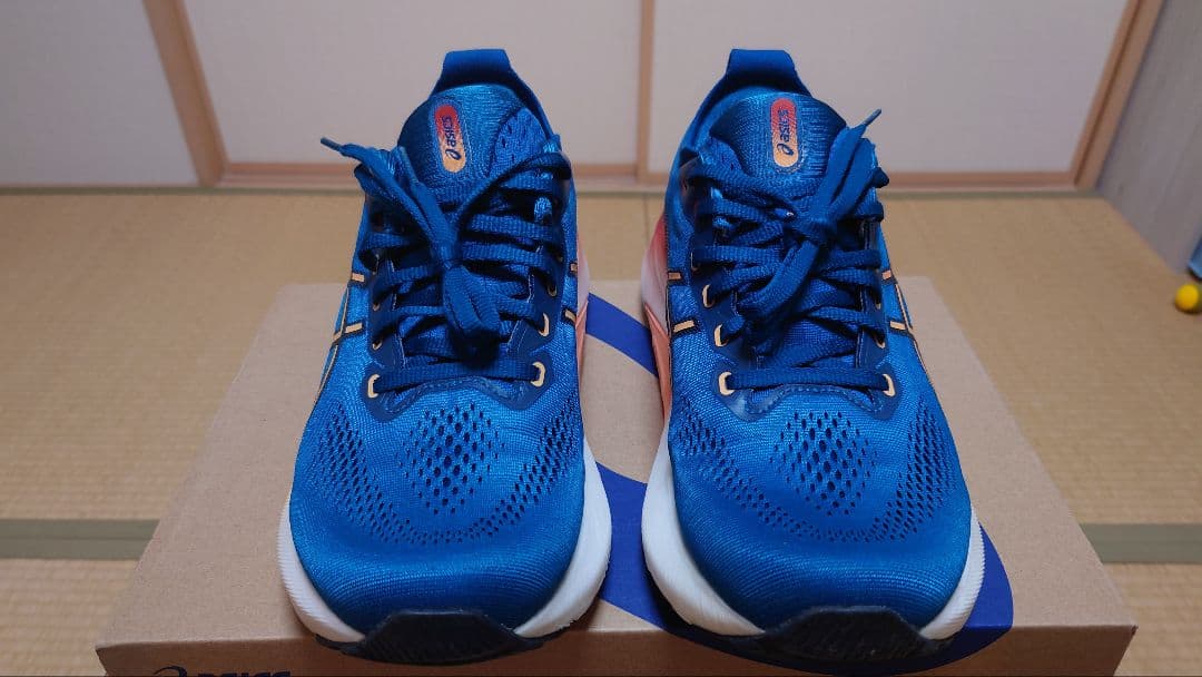 ASICS　ランニングシューズ　ゲルカヤノ31(GEL-KAYANO 31)