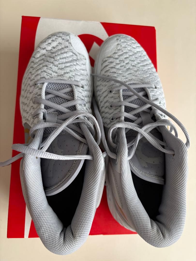 NIKEバスケットボールシューズ グレー/ゴールド