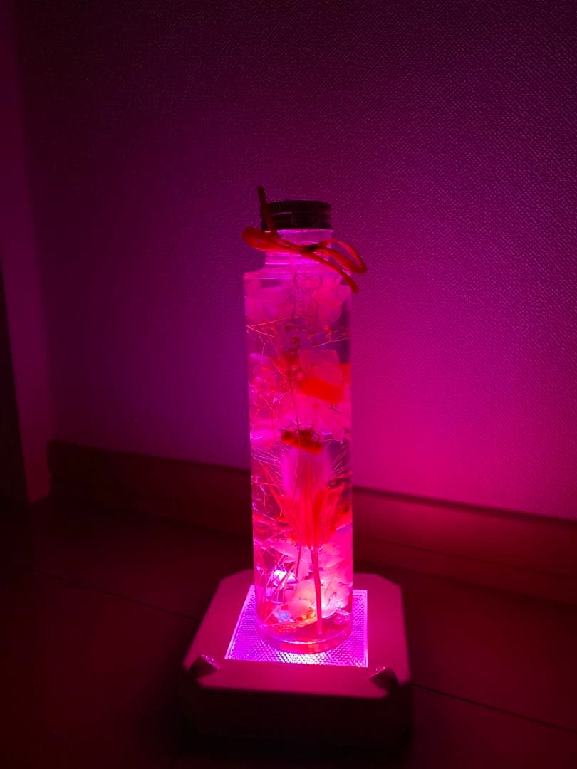ハーバリウムトールテコラとペーパーナノLEDディスプレイライト