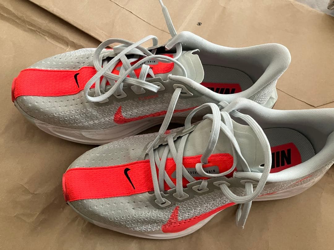NIKE ナイキ ペガサスプラス 25
