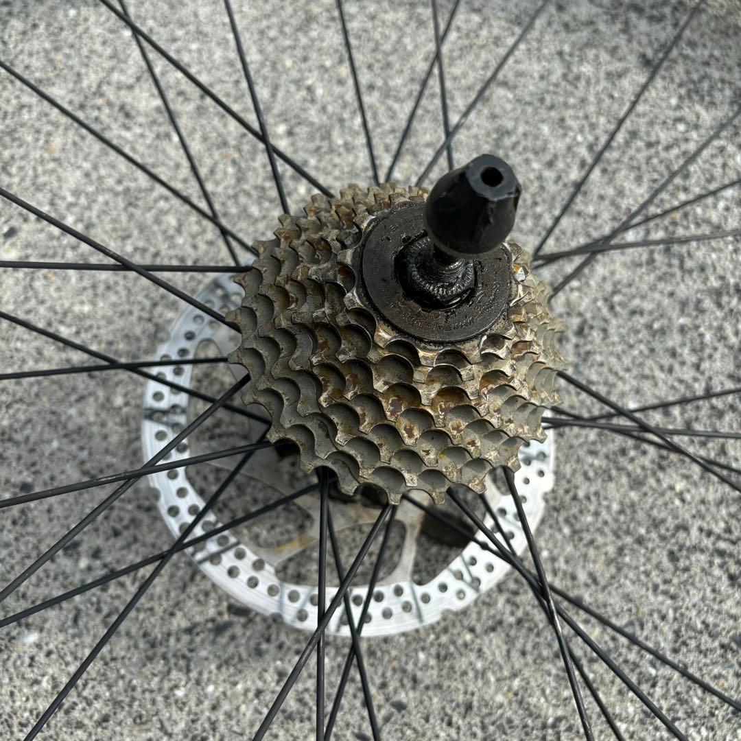ビアンキ Bianchi 純正 ホイール リム
