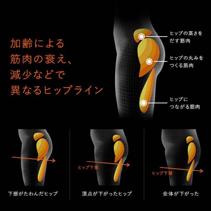 ウエイトトレーニング SIX PAD Bottom Belt