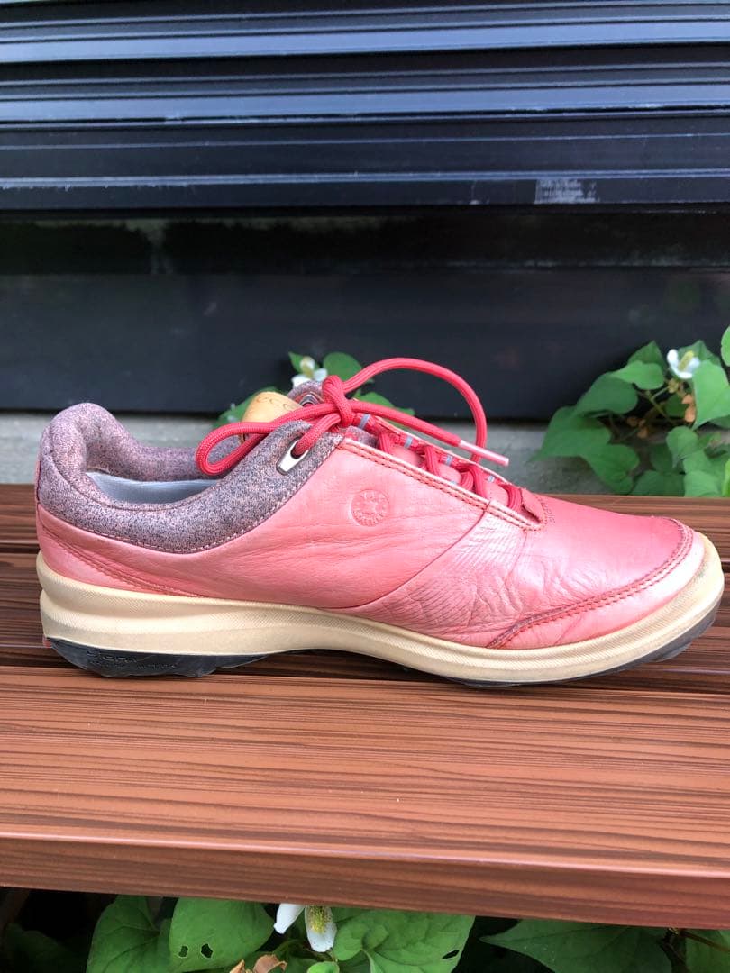 353-2番 美品ECCO BIOMゴルフシューズ36 23.0cmスパイクレス
