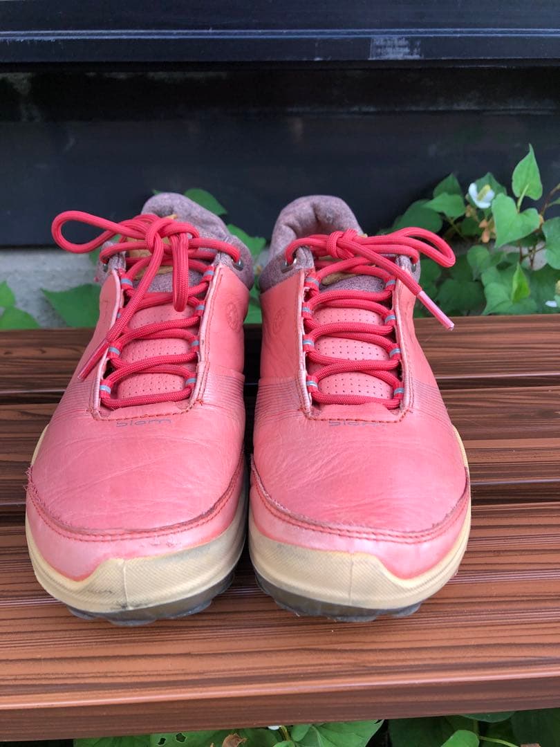 353-2番 美品ECCO BIOMゴルフシューズ36 23.0cmスパイクレス