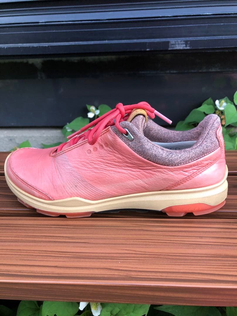 353-2番 美品ECCO BIOMゴルフシューズ36 23.0cmスパイクレス