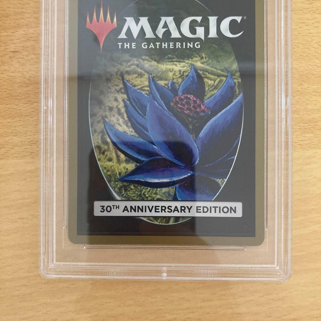 PSA10 旧枠 Mesa Pegasus MTG 30th edition
