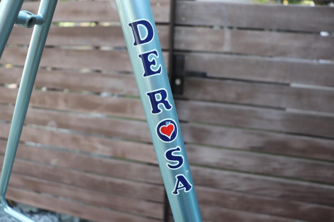 DE ROSA ENDURACE 1992 フレーム デローザ カンパニョーロ