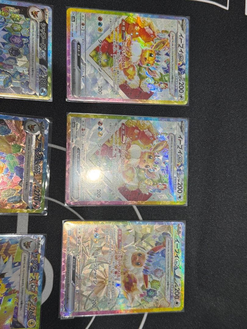 テラスタルフェス　ブイズ　9枚