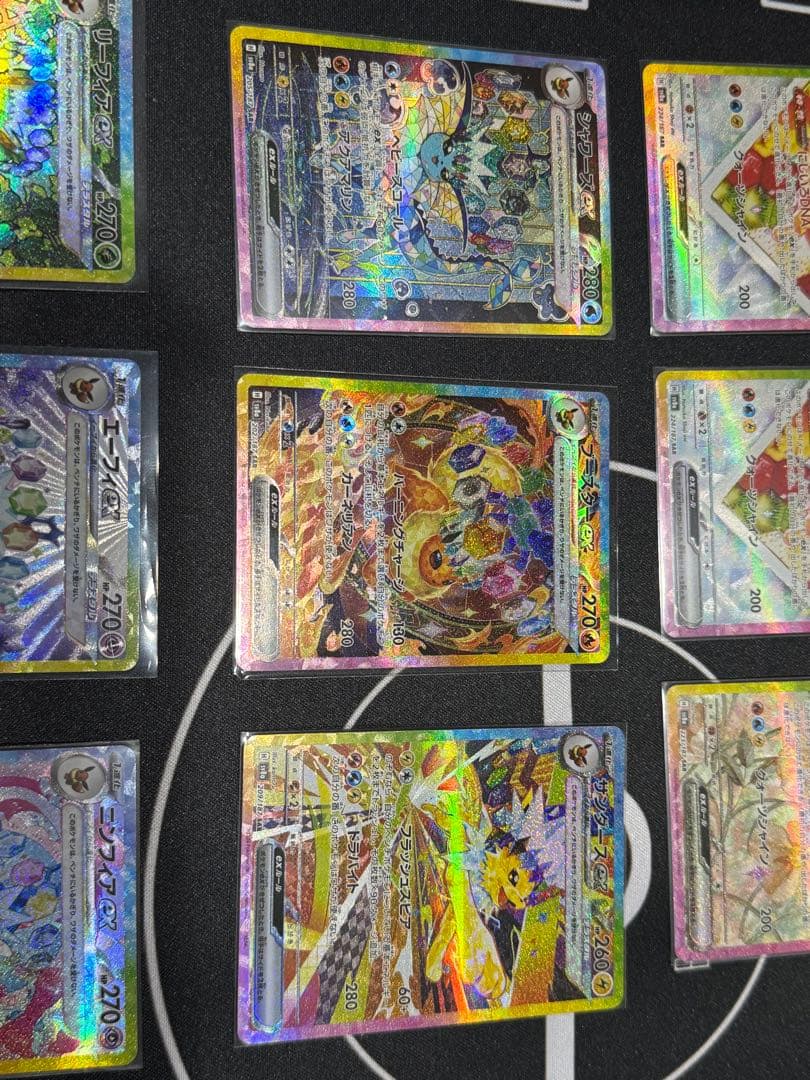 テラスタルフェス　ブイズ　9枚