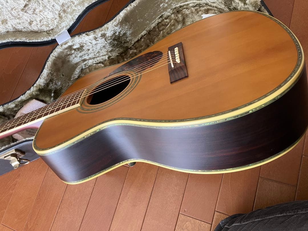 Epiphone EF-500RA Masterbilt 上位機種　豪華インレイ