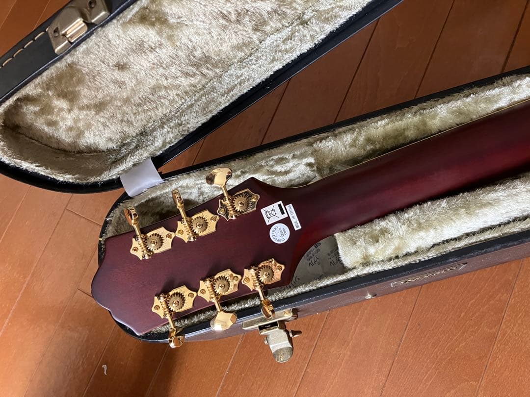 Epiphone EF-500RA Masterbilt 上位機種　豪華インレイ