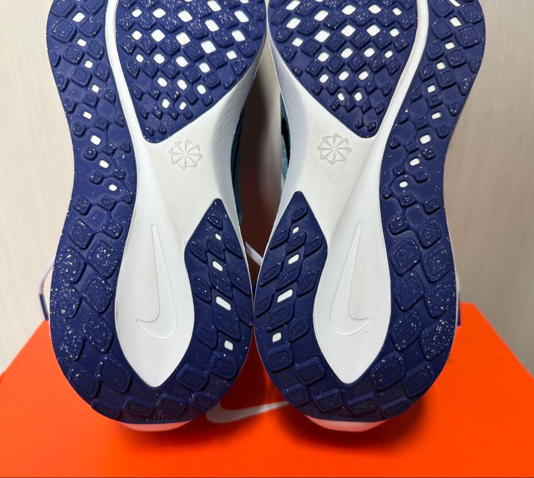 NIKE ペガサス41