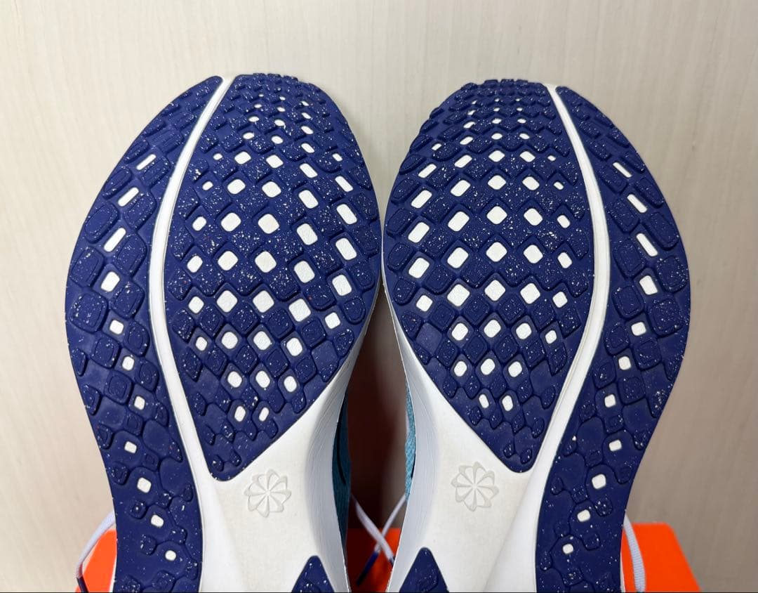NIKE ペガサス41