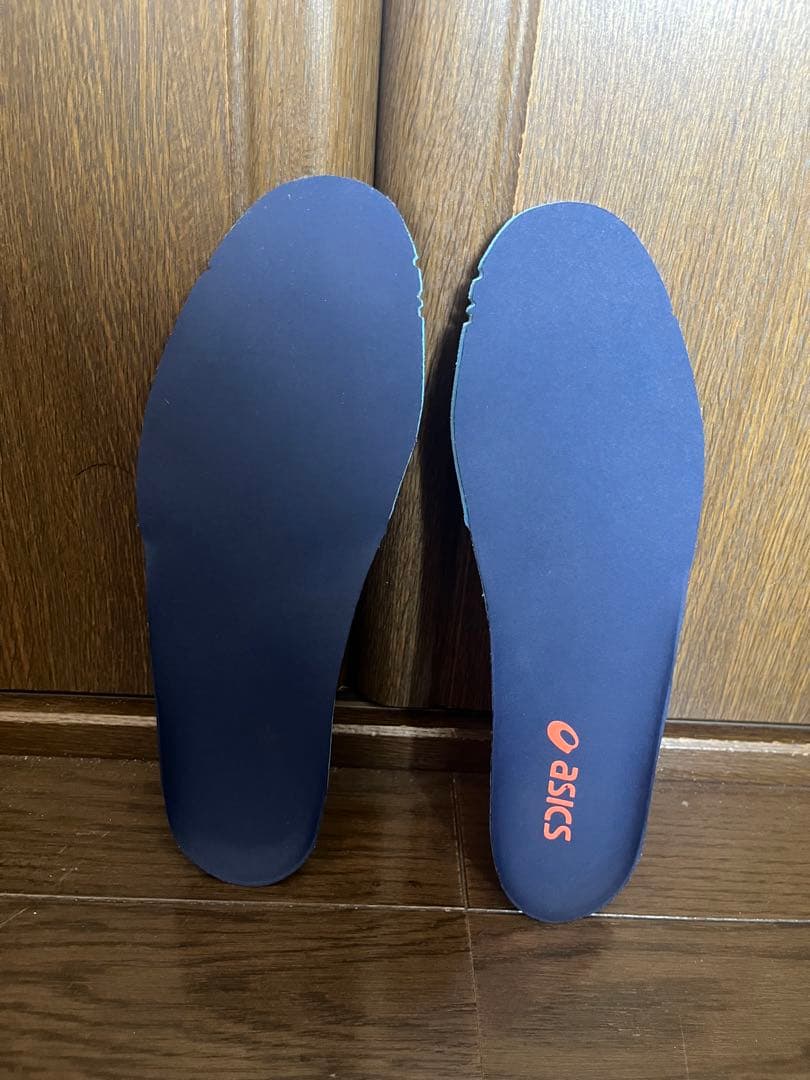 【廃盤品】asics ds light avante 25.0cm