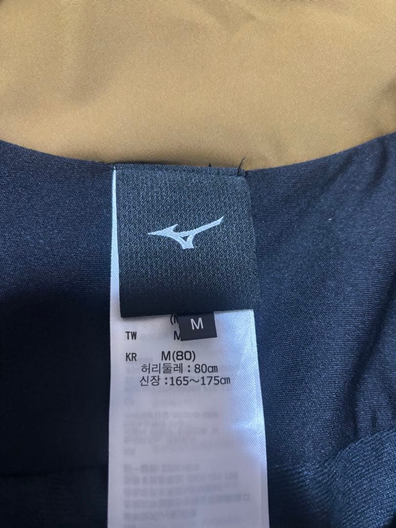 Mizuno ミズノクルーウェア上下M カタログ外