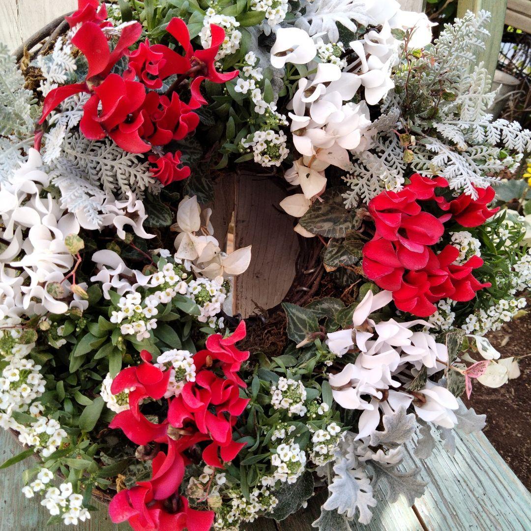 【お値下げしました】花　寄せ植え　クリスマス　リース