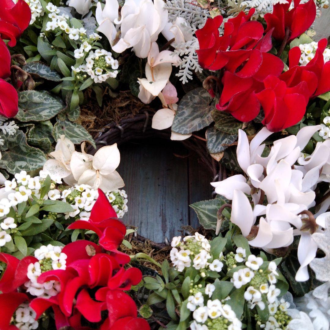 【お値下げしました】花　寄せ植え　クリスマス　リース