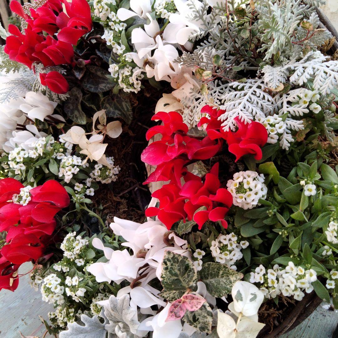 【お値下げしました】花　寄せ植え　クリスマス　リース