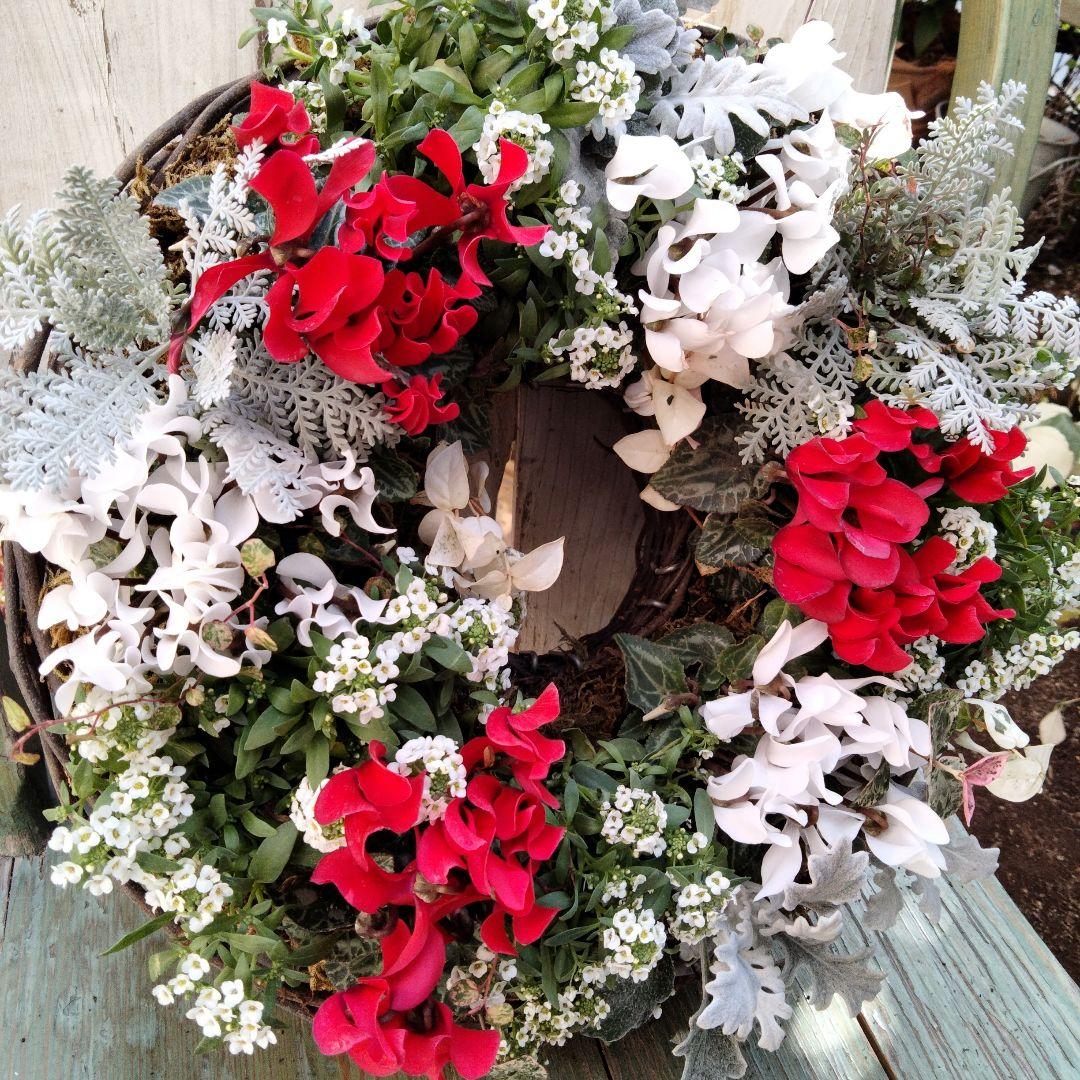 【お値下げしました】花　寄せ植え　クリスマス　リース