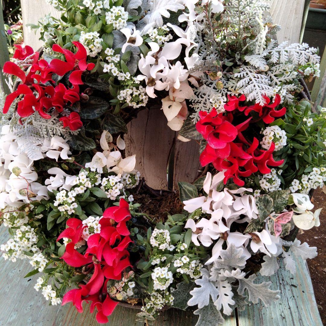 【お値下げしました】花　寄せ植え　クリスマス　リース