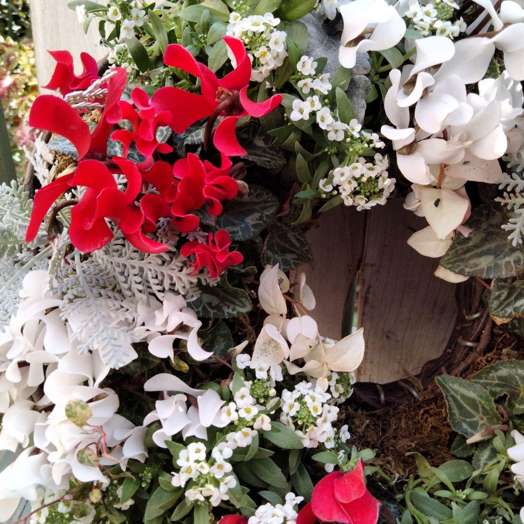 【お値下げしました】花　寄せ植え　クリスマス　リース