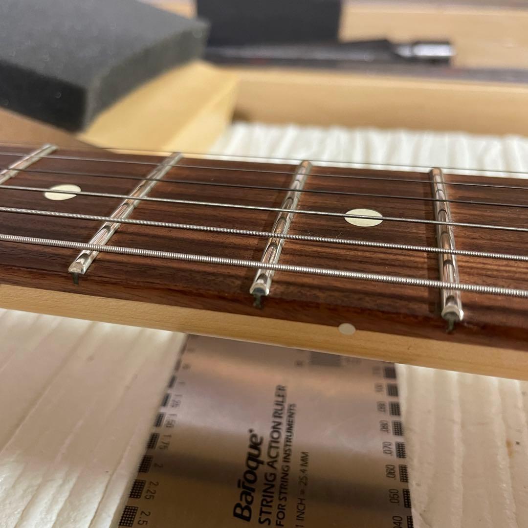 ギター Fender Player Stratocaster Pau Ferro