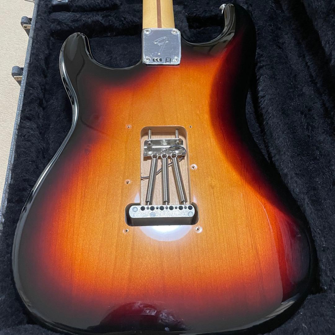 ギター Fender Player Stratocaster Pau Ferro