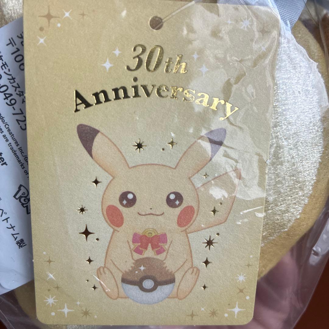 30周年記念グッズ ピカチュウ ぬいぐるみ 2体セット