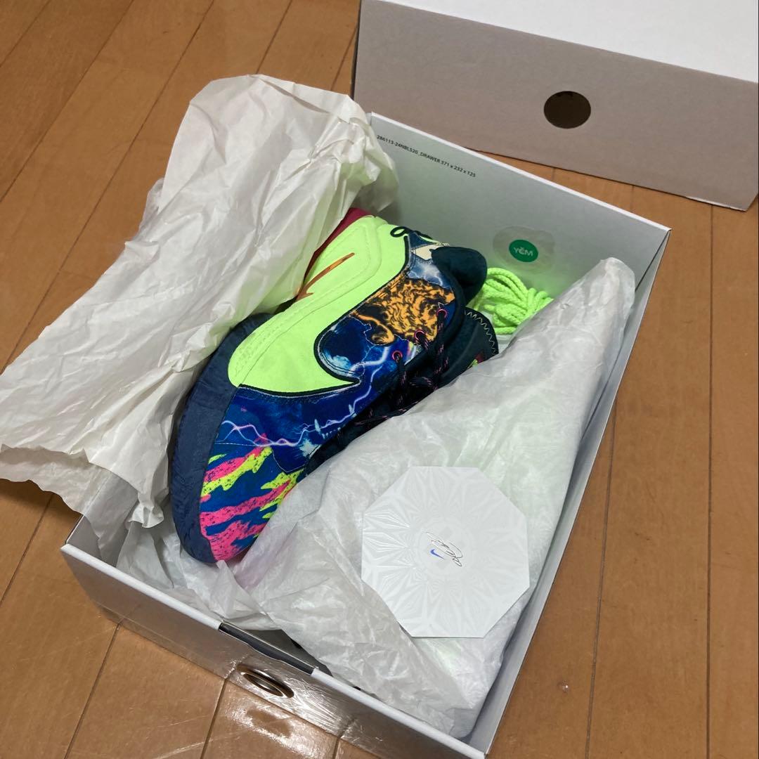 と*も様 NIKE Lebron 22 グローバルラスト 27.5cm レブロン