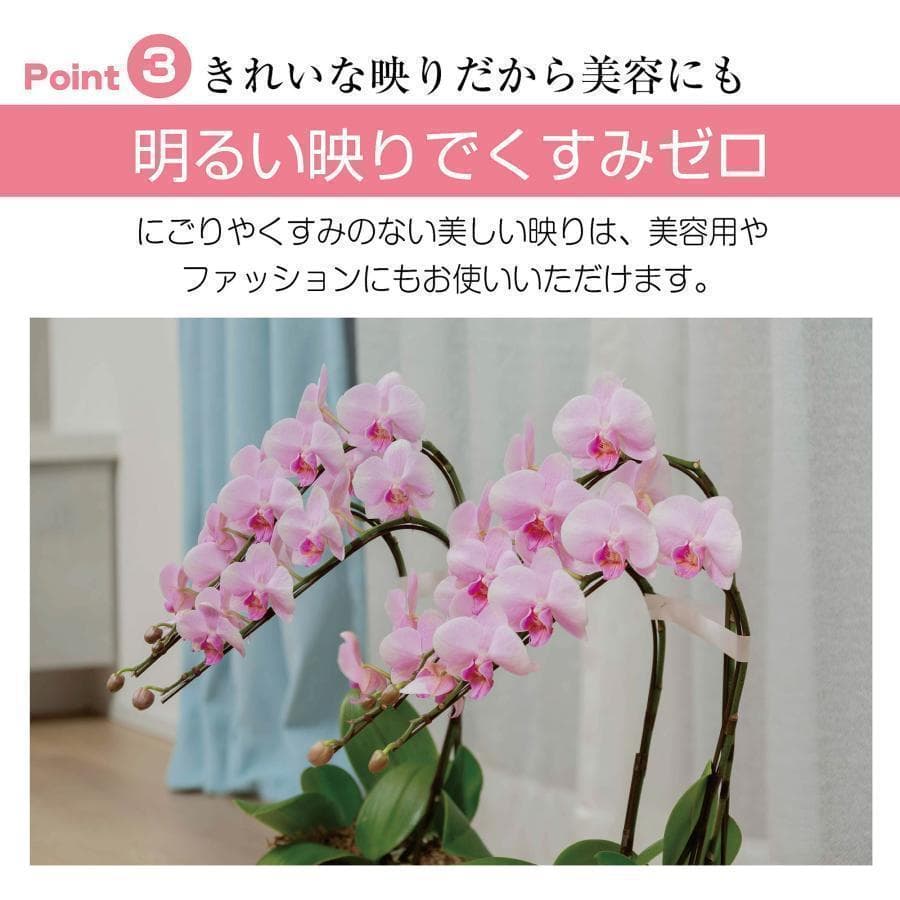 2659フィルムミラー 割れない鏡 全身鏡幅100×高さ160cmキャスター付銀