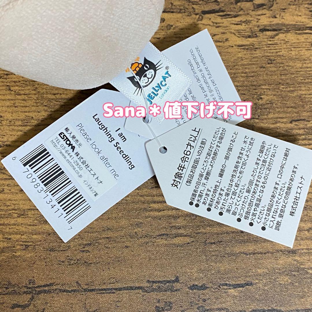 廃盤　新品タグ付き　ジェリーキャット　植物　観葉植物　鉢植え　ポット　芽　笑顔