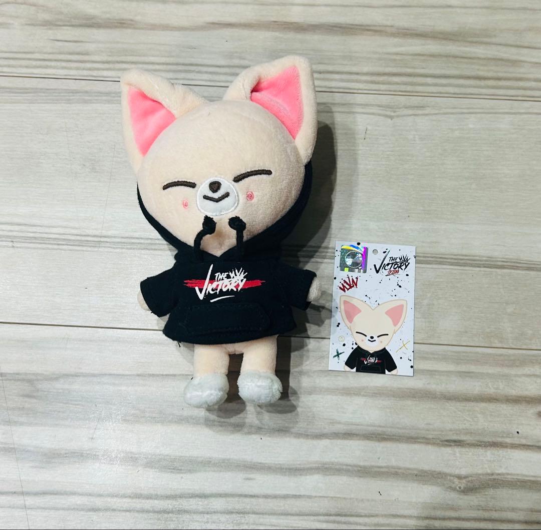 straykids スキズ　アイエン　まとめ売り