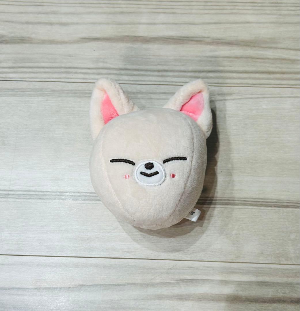 straykids スキズ　アイエン　まとめ売り