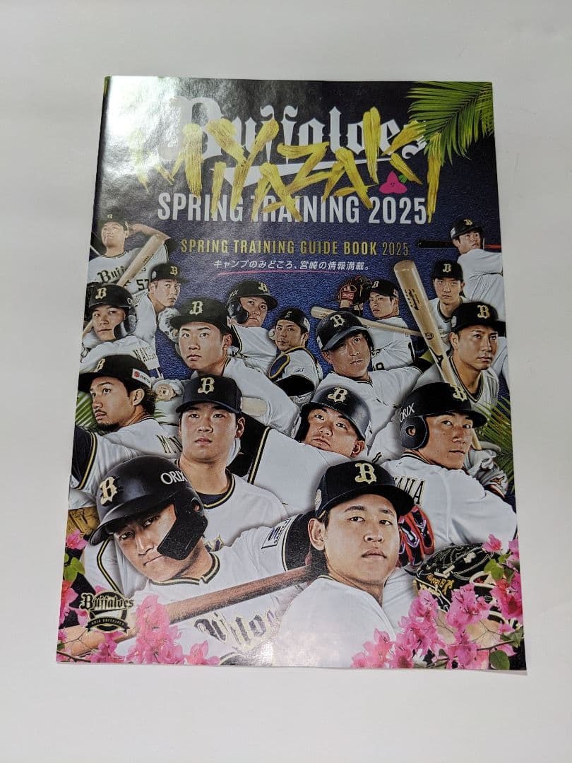 オリックス 山下舜平大 サイン 色紙 大阪オリックス バファローズ 宮崎キャンプ