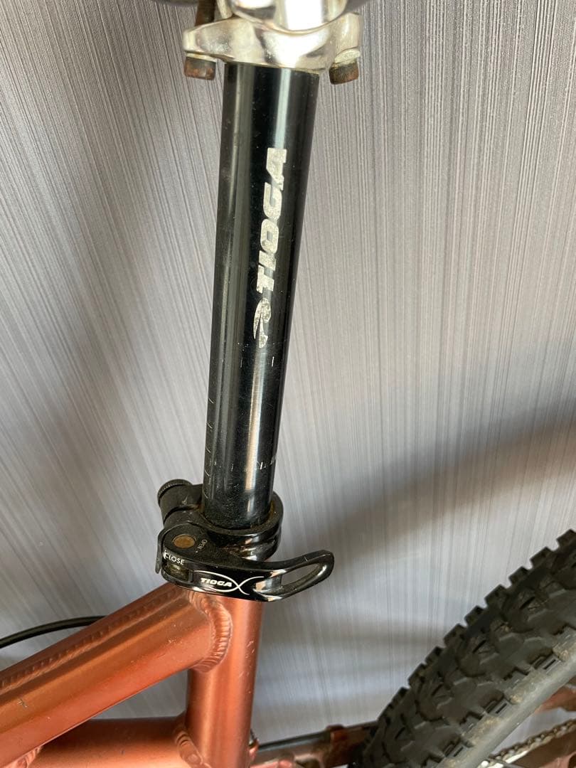 名品TITUSタイタス　ダウンヒルバイク　ROCKSHOX CHROMAG