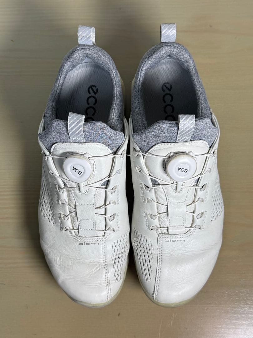 ECCO エコー ゴルフシューズ BIOM G5 BOA ゴアテックス 40