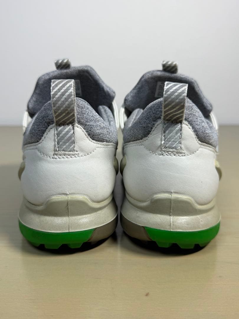 ECCO エコー ゴルフシューズ BIOM G5 BOA ゴアテックス 40