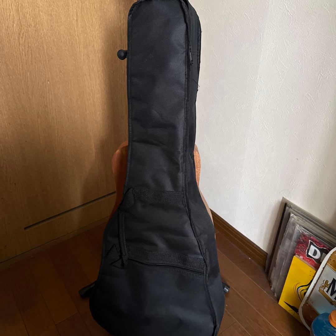 ギター S.yairi YM 02 MH