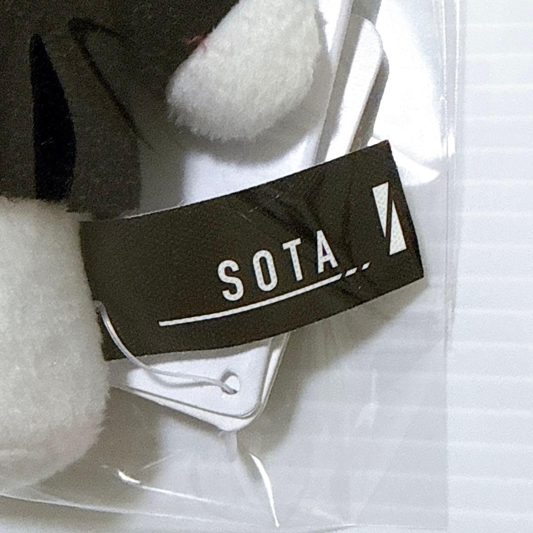 BE:FIRSTプライズモアプラスマスコット白クマぬいぐるみ　ソウタ　SOTA