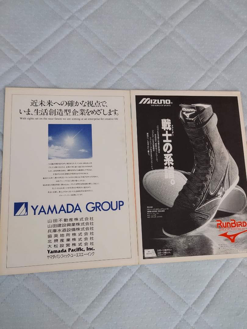 辰吉丈一郎VS レイパショネス・ホセR ベガヒル　ボクシングパンフレット２冊